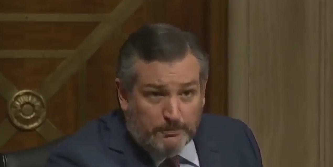 Dems Flee Room As Sen Cruz Details Dangerous Blm Support